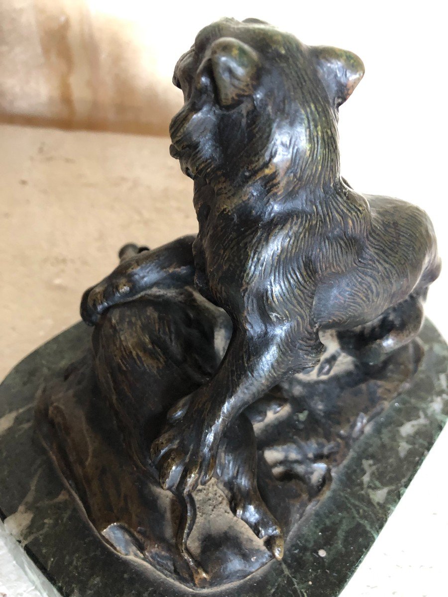 Sculpture Marble Bronze Animal Dlg De Barye Lioness And Boar Old Cast Iron XIXth Century-photo-4