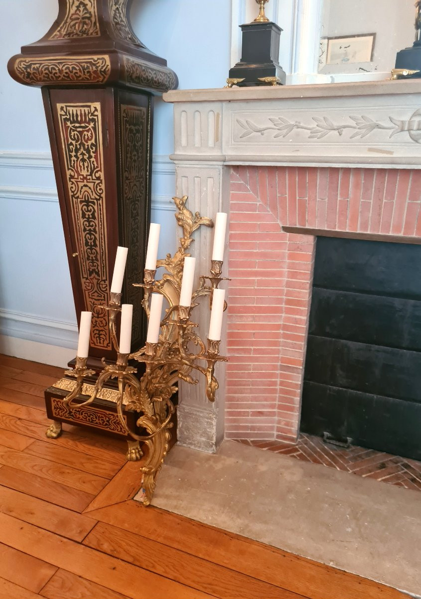 Pair Of 9-arm Gilt Bronze Wall Lights With Louis XV-19th Century Style Decoration.-photo-3