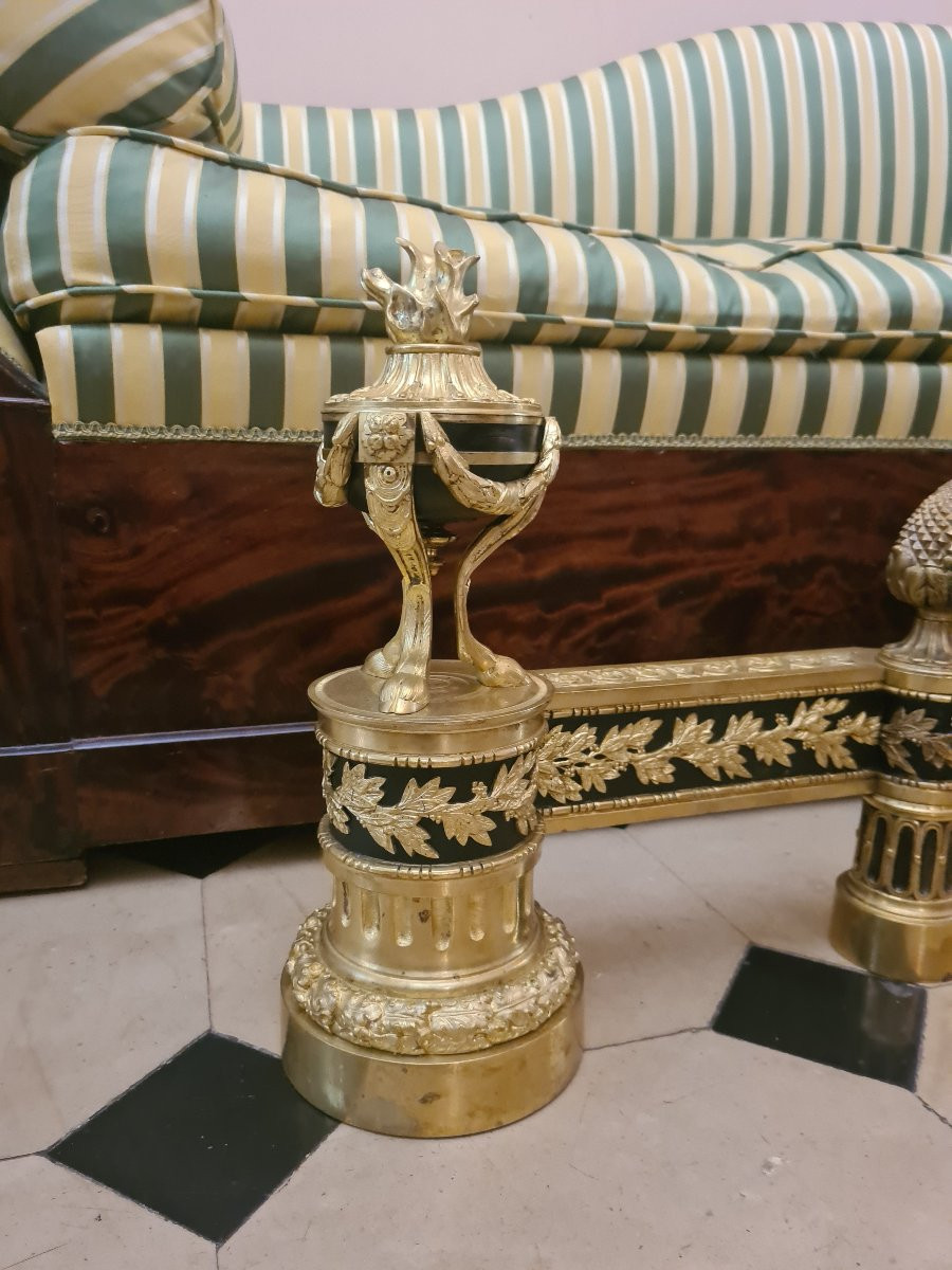 Paire de chenets en bronze doré , XIXÈME -photo-1