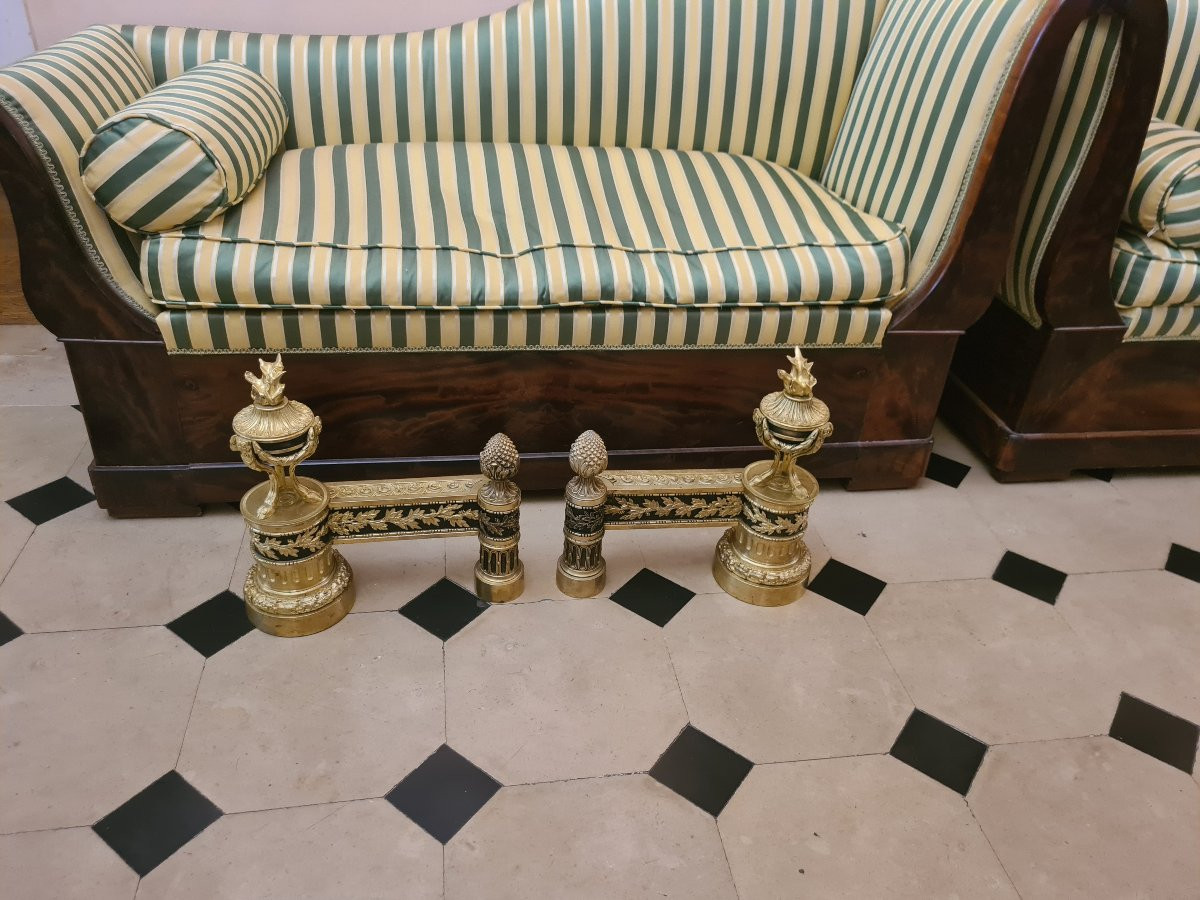 Paire de chenets en bronze doré , XIXÈME -photo-5