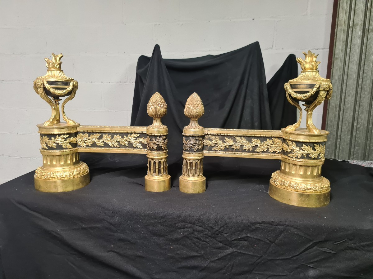 Paire de chenets en bronze doré , XIXÈME 