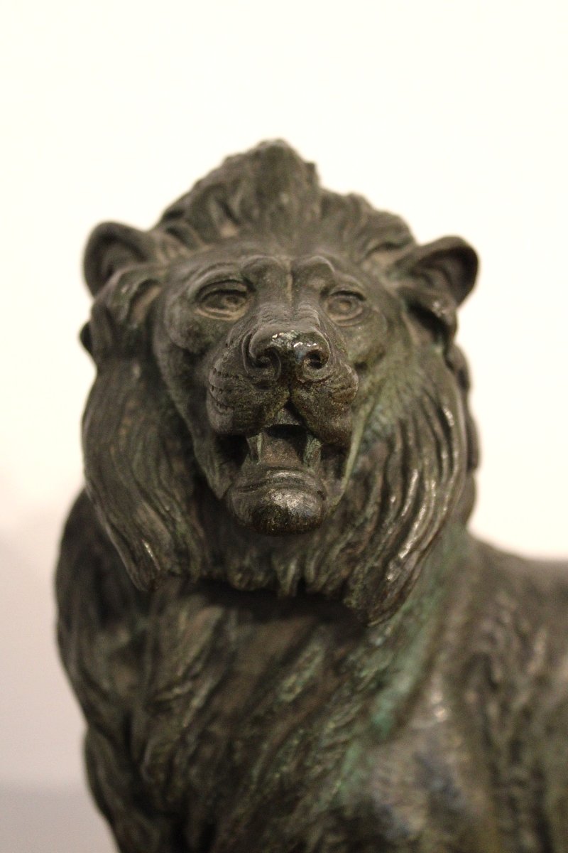 Bronze Lion By édouard Paul Delabrierre, 19th Century-photo-3