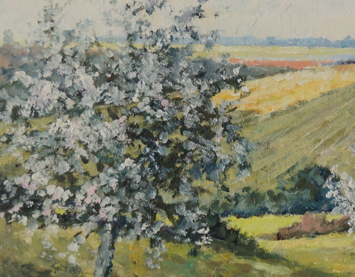 French And Post-impressionist School Of The 20th Century "apple Trees In Pays De Bray" By Derotte.-photo-1