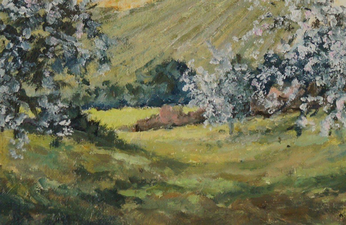 French And Post-impressionist School Of The 20th Century "apple Trees In Pays De Bray" By Derotte.-photo-4