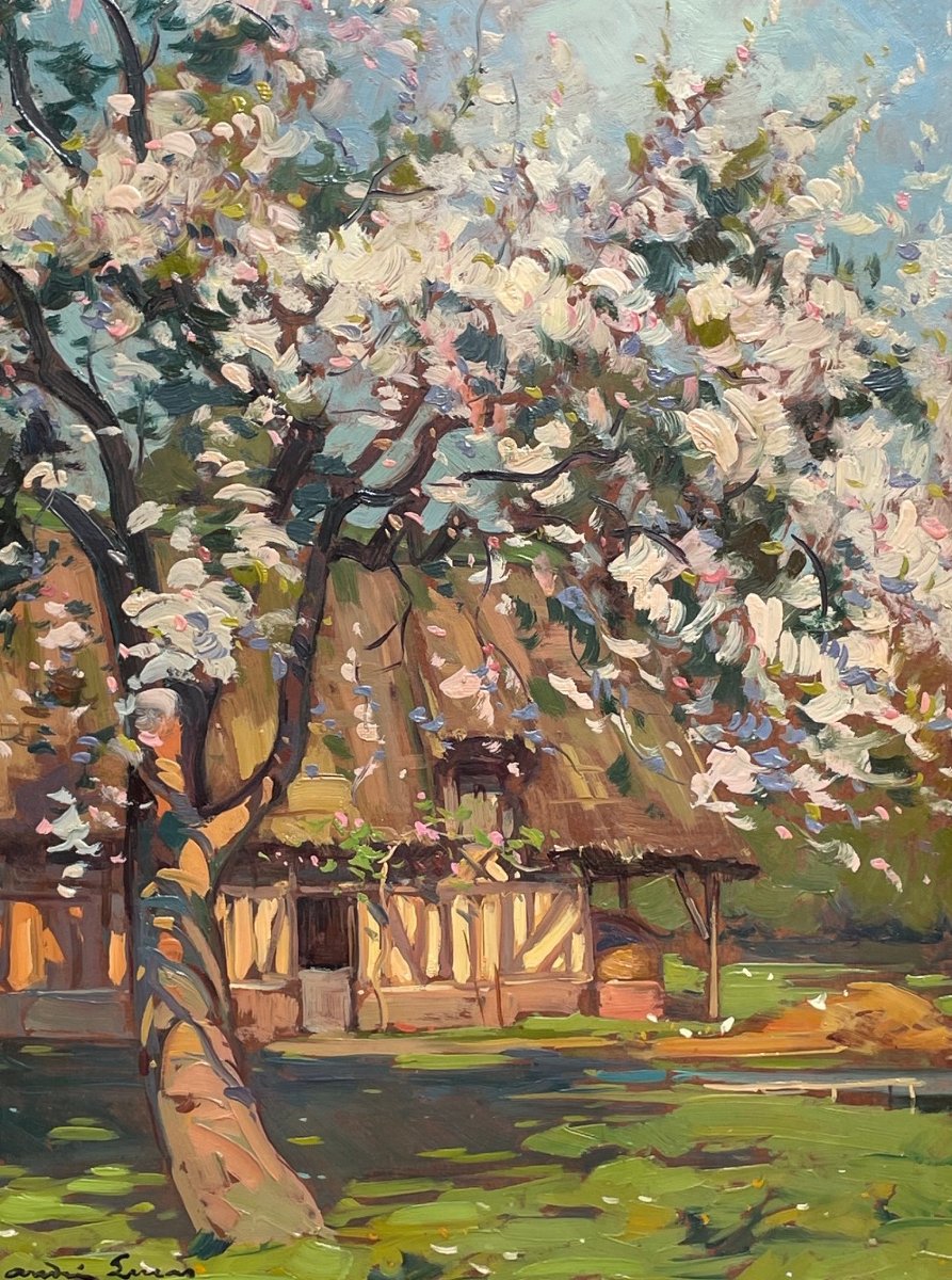 Early 20th-century French School: “apple Tree In Bloom In Normandy” By André Suras.