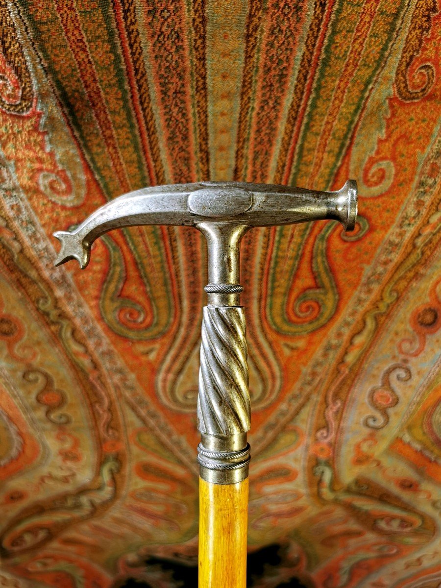Collectible Cane - Defense Or Professional - Hammer By: Porion, Geologist, Mineralogist - 19th-photo-2