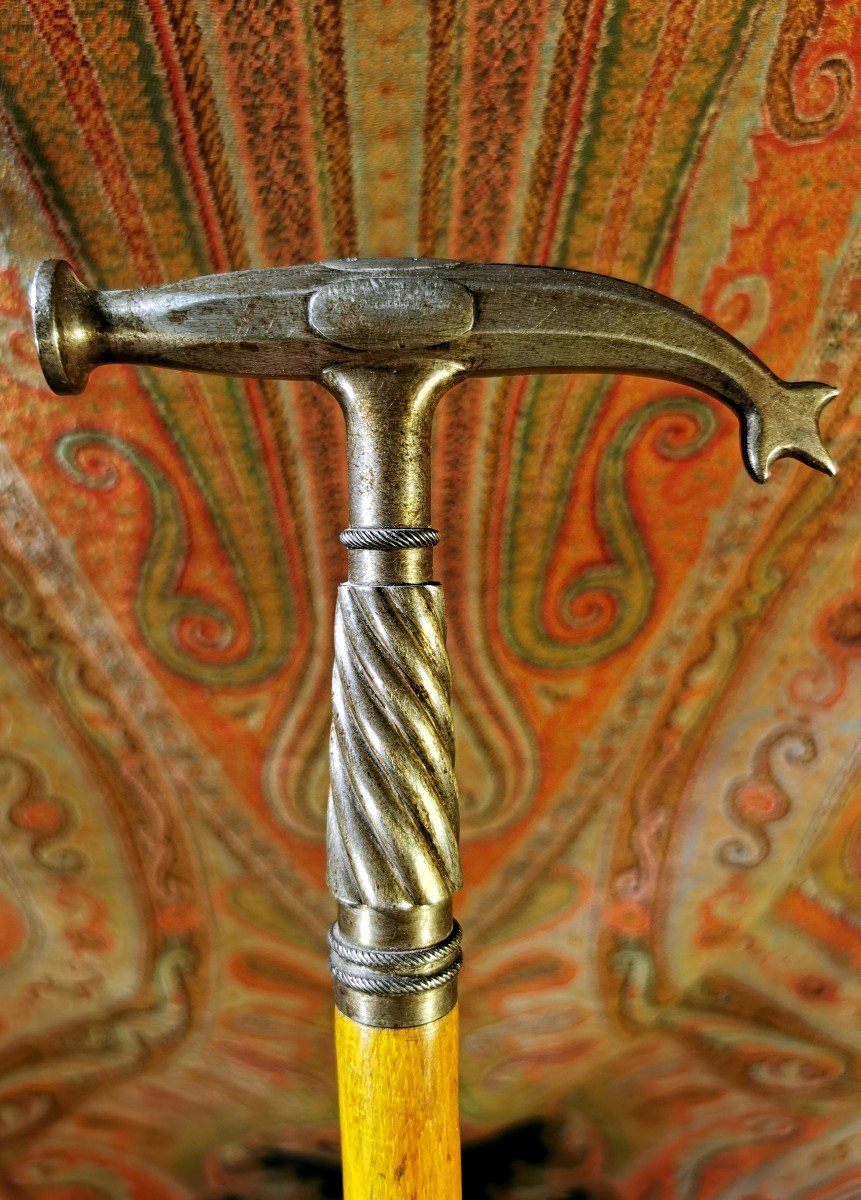 Collectible Cane - Defense Or Professional - Hammer By: Porion, Geologist, Mineralogist - 19th-photo-4