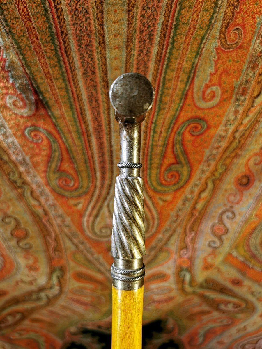 Collectible Cane - Defense Or Professional - Hammer By: Porion, Geologist, Mineralogist - 19th-photo-1