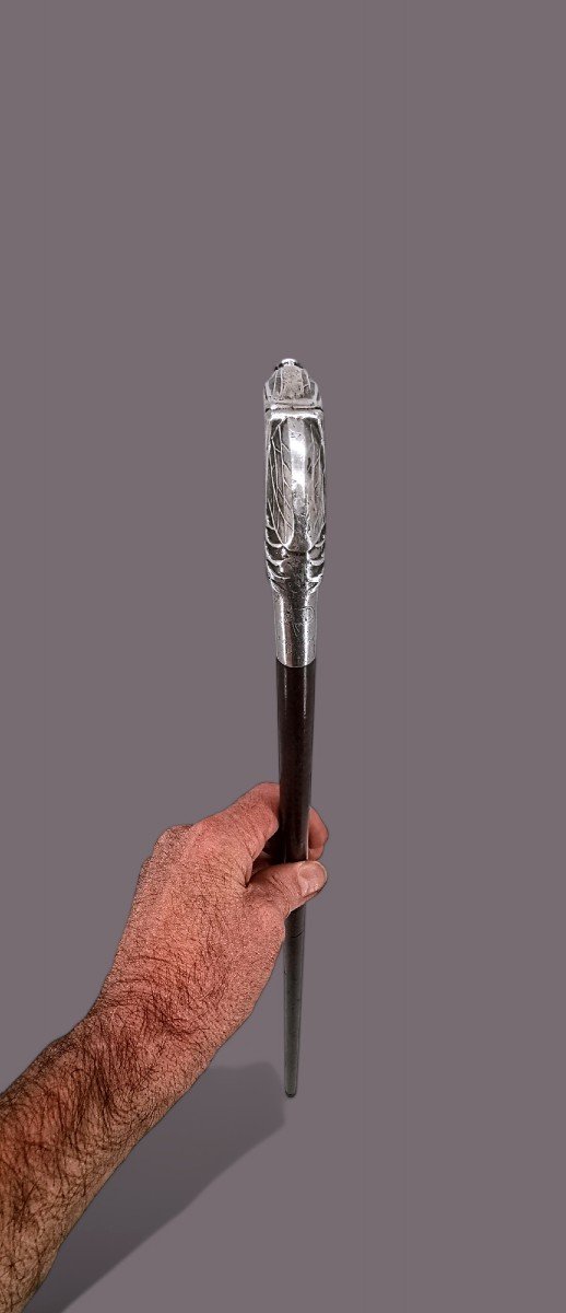 Canne De Dandy Art Nouveau - Argent Massif Sculpture Mante religieuse 1900-photo-6