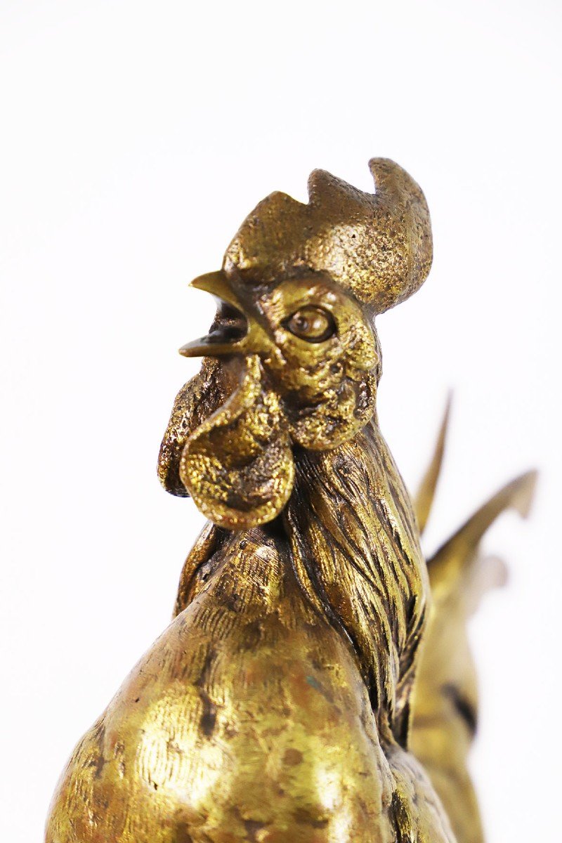 Bronze Coque De Comolera-photo-1