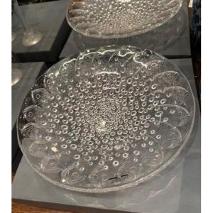 Lalique Roscoff Bowl