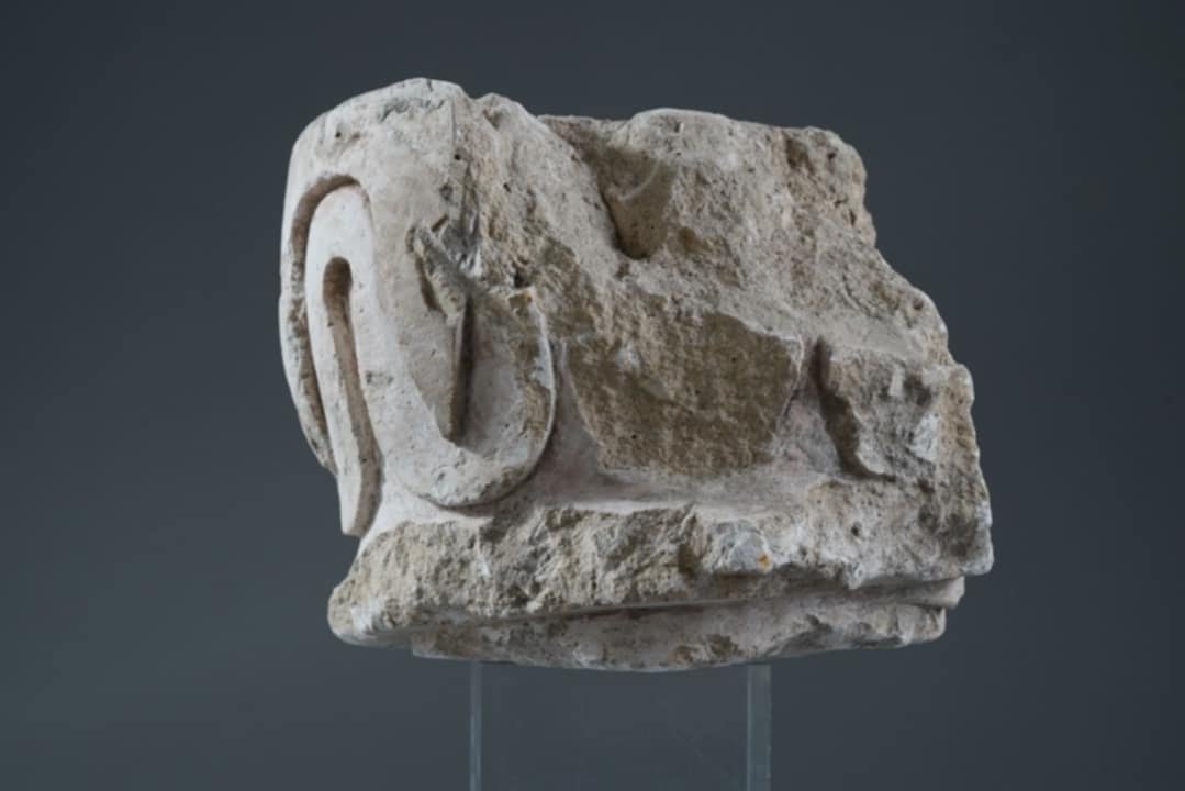 Carolingian Capital - Burgundy - Limestone-photo-4