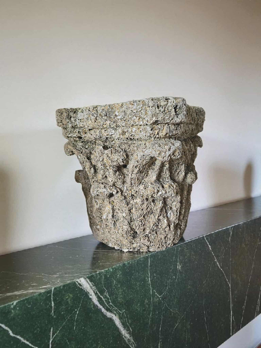 Romanesque Capital - Shell Stone - Acanthus Leaves