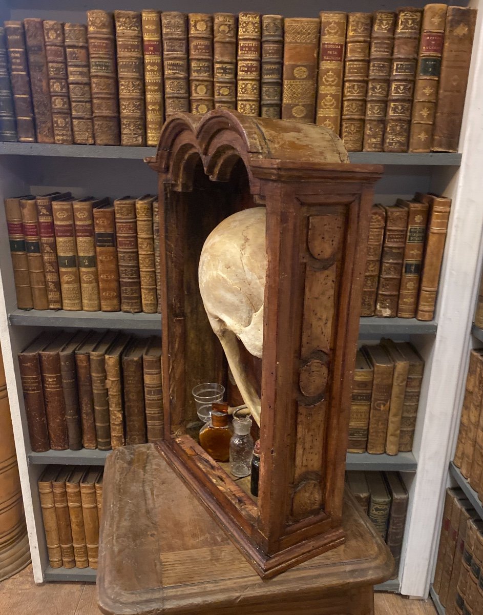 Memento Mori - Vanity - 19th Century - Real Skull -photo-2