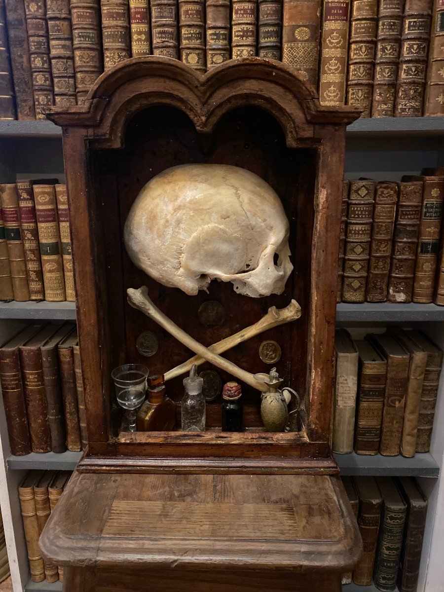 Memento Mori - Vanity - 19th Century - Real Skull -photo-4