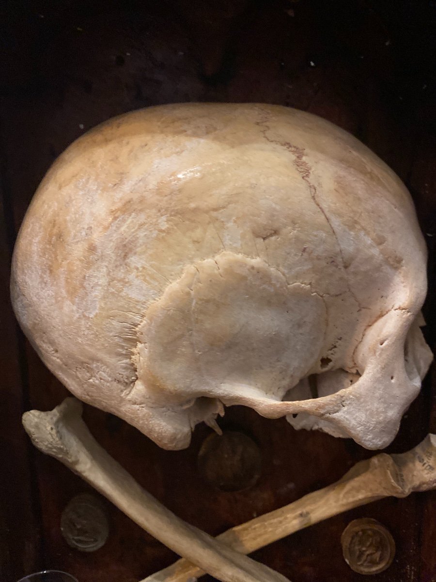 Memento Mori - Vanity - 19th Century - Real Skull -photo-1