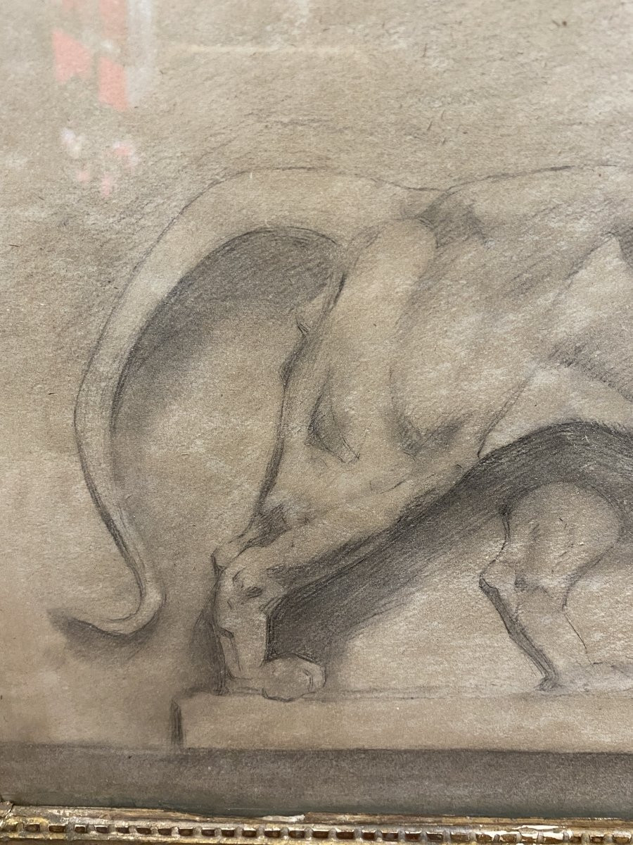 Walking Panther - Drawing - 19th Century-photo-3
