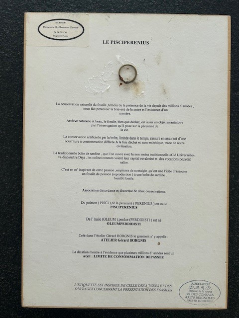 Gerard Borgnis Mixed Technique Surrealist And Humorous Still Life-photo-4