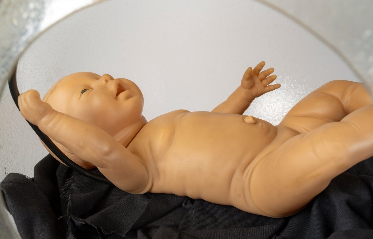 The Pregnant Man-photo-7