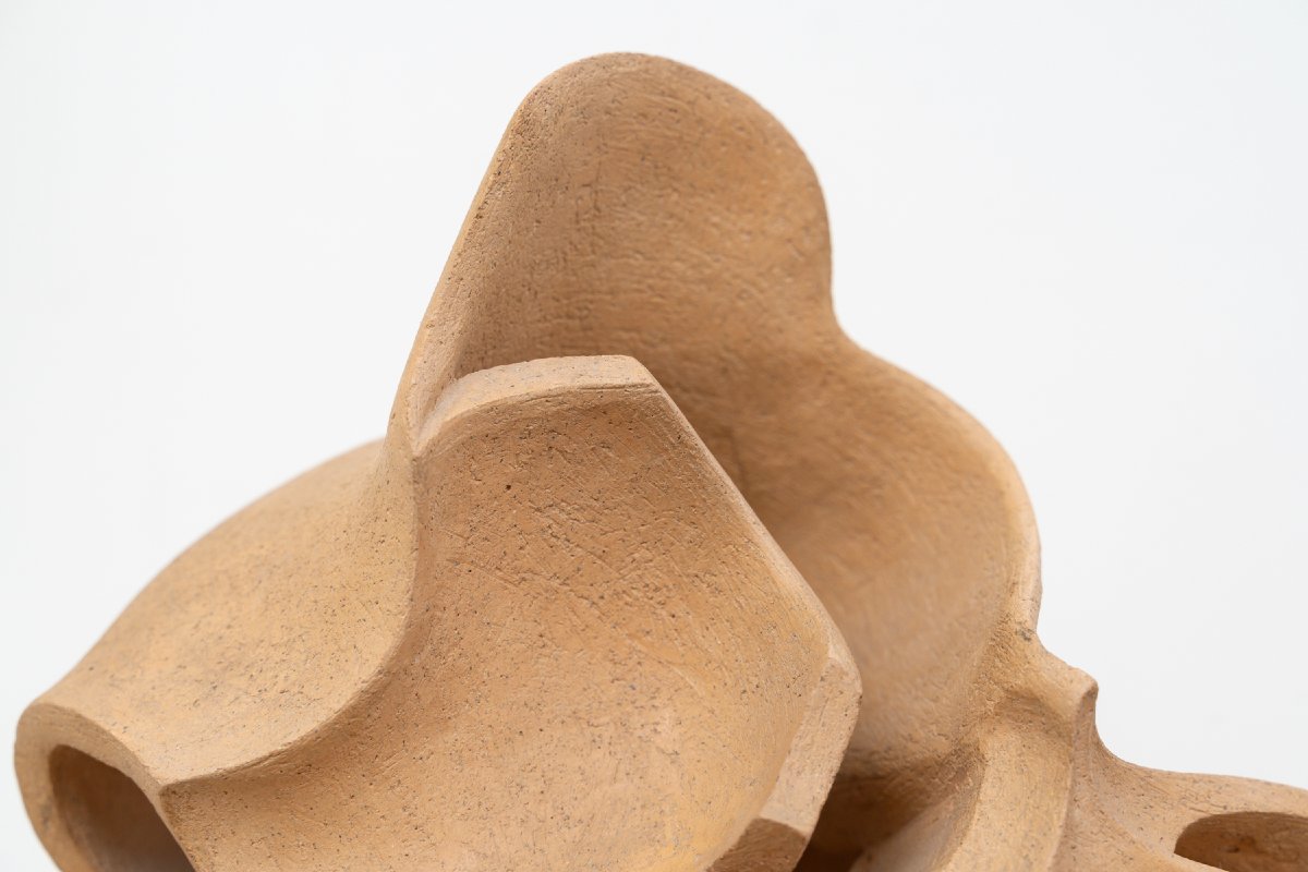 Sculpture Abstraite en Bois- Bernard Grassias -photo-1