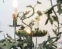1829813-alb-6abc1beb82e48.jpg