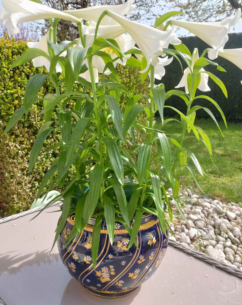 Proantic Sarreguemines Midnight Blue Planter