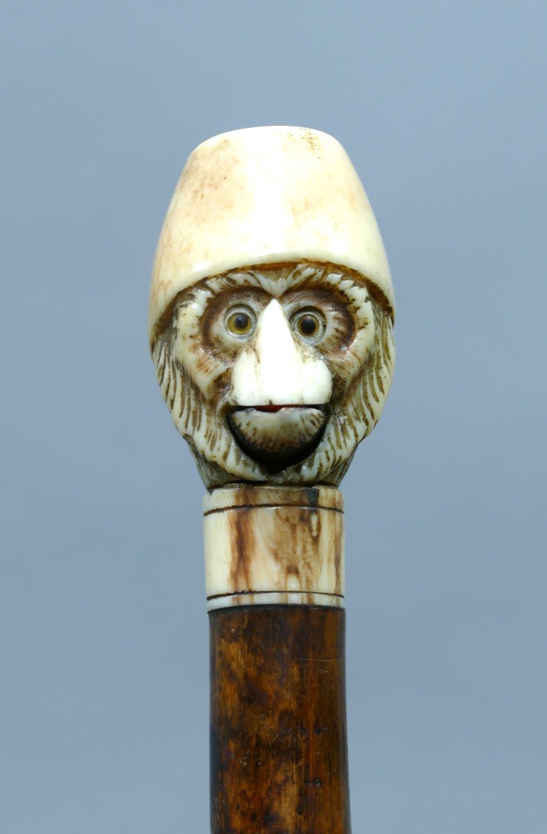 Automaton System Cane Representing A Monkey Head-photo-2
