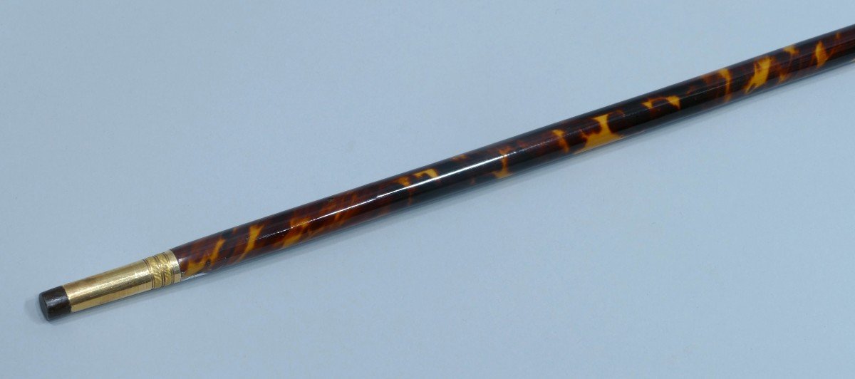 Ambassador Cane In Gold And Tortoise Shell Datable From The 19th Century-photo-1