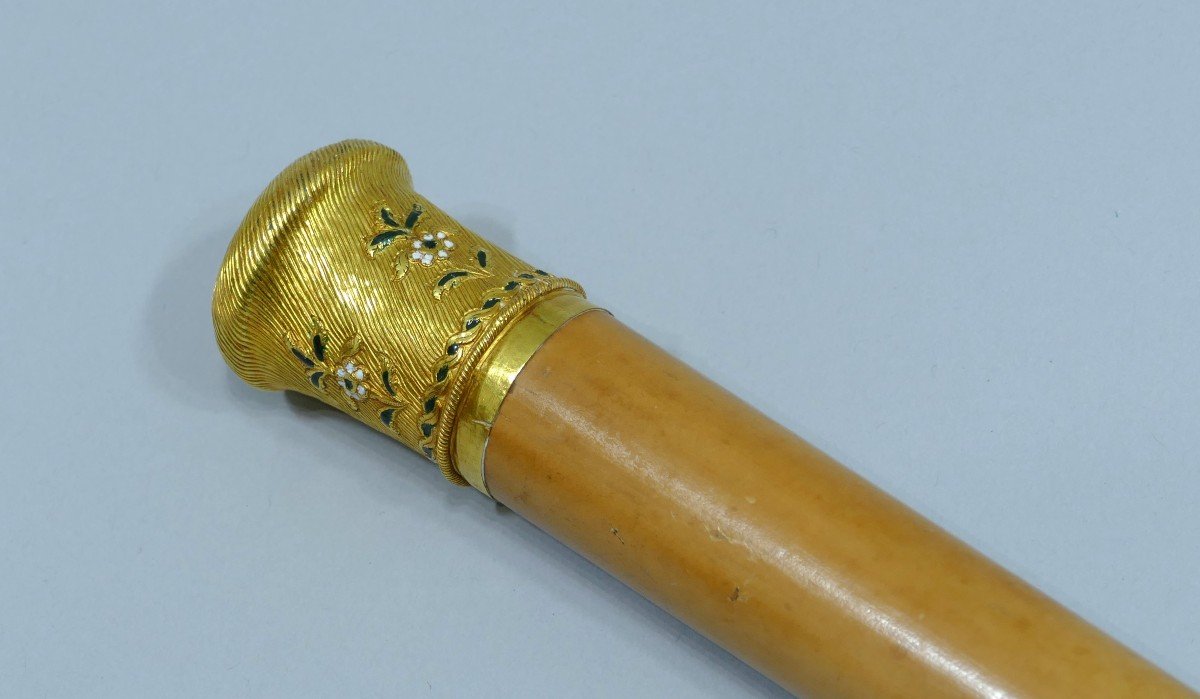 Precious Cane With Enameled Gold Handle Datable Circa 1850/70-photo-1