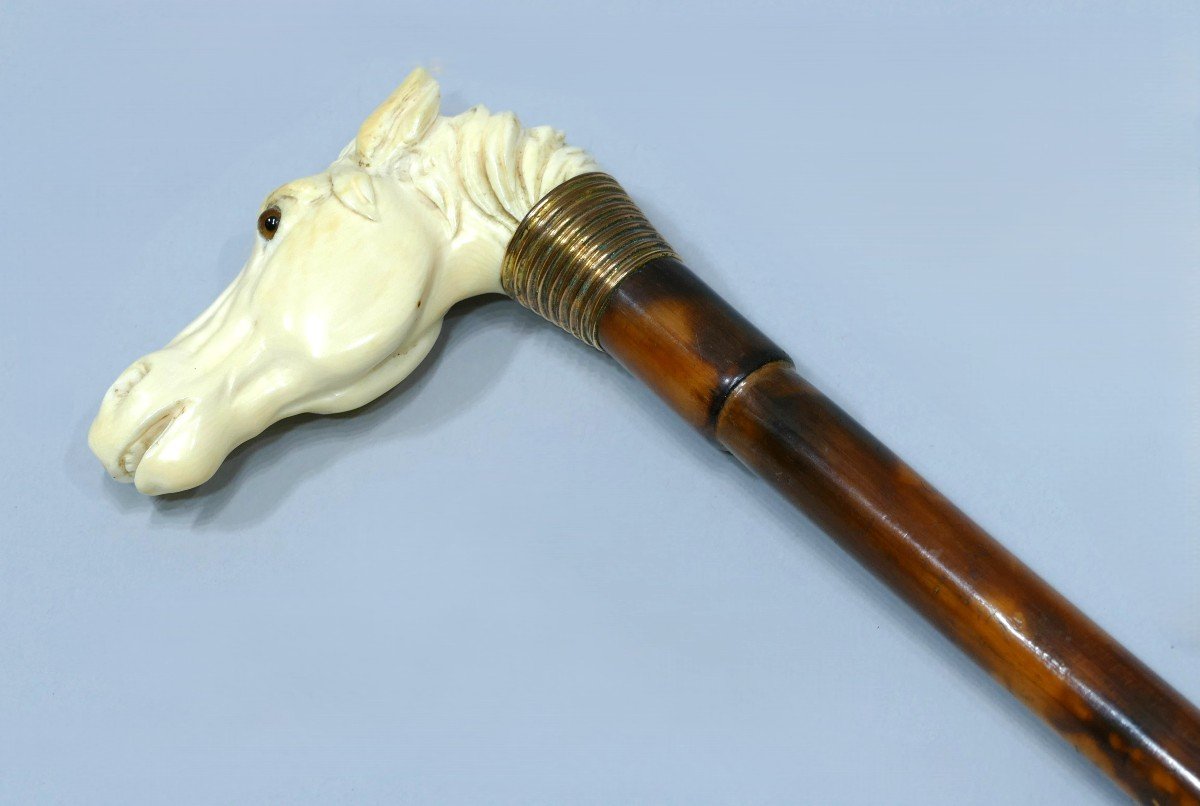 Canne De Collection Avec Pommeau En Ivoire Représentant Une Tête De Cheval-photo-4