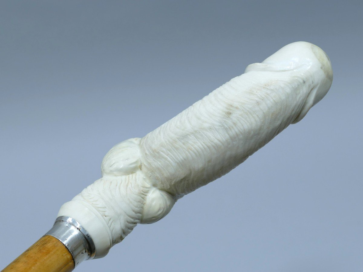 Erotic Collection Cane Representing An Erect Phallus And The Female Sex-photo-4