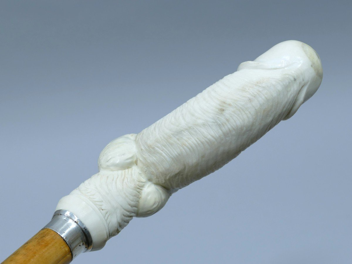 Canne De Collection érotique Représentant Un Phallus En érection Et Le Sexe Féminin-photo-4