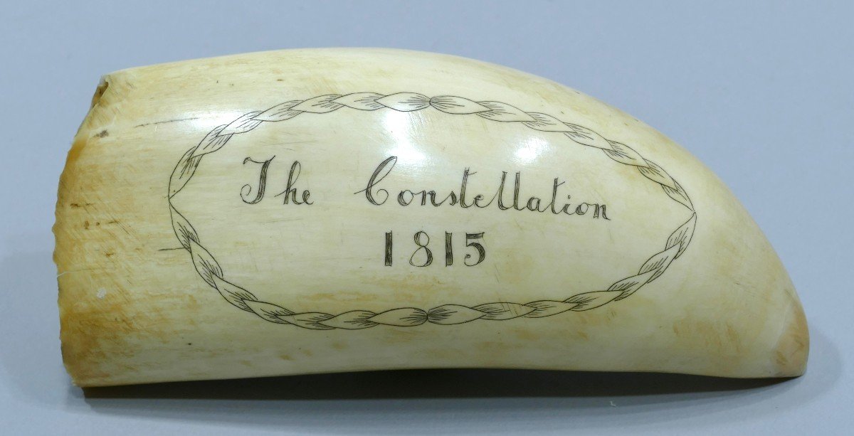 Engraved Sperm Whale Tooth Representing The Constellation Vessel Dated 1815-photo-3