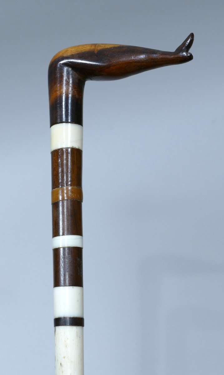 19th Century Cane For A Child Made In Whalebone And Wood.-photo-2