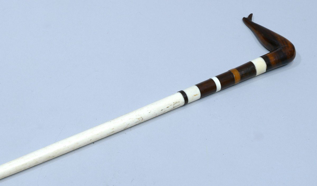 19th Century Cane For A Child Made In Whalebone And Wood.-photo-3