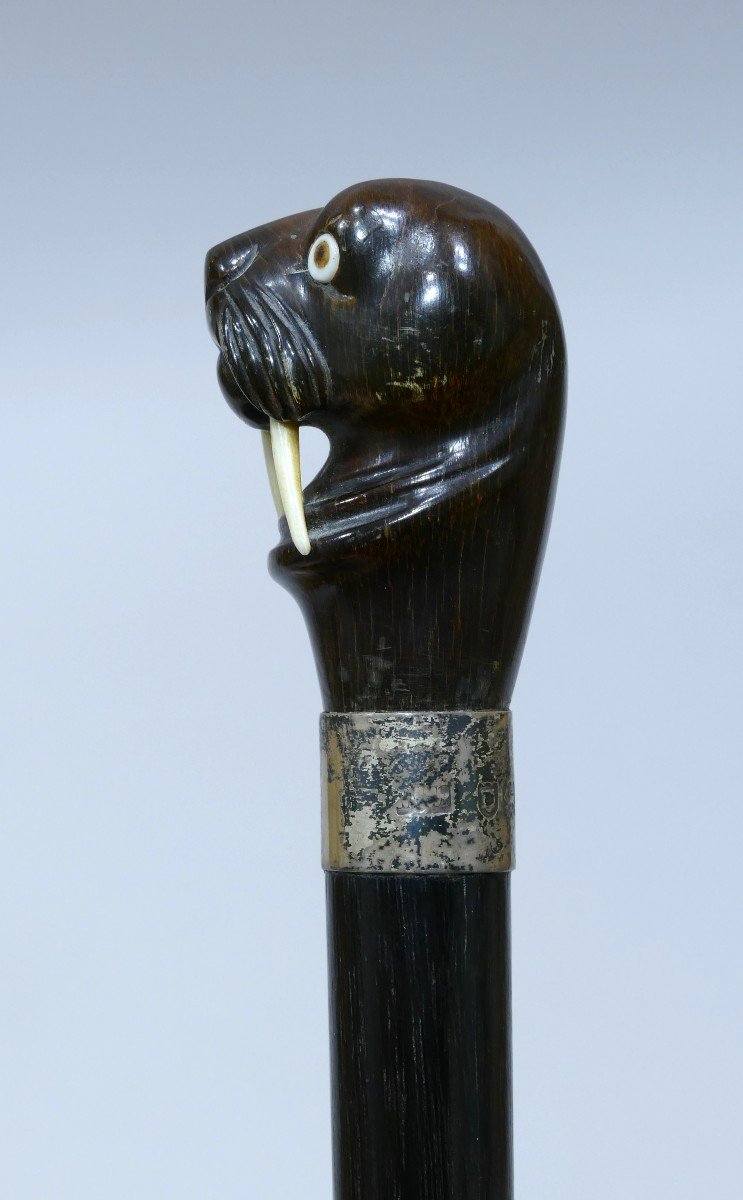 Sailor's Cane With Horn Handle Representing A Walrus Head (19th Century)-photo-2