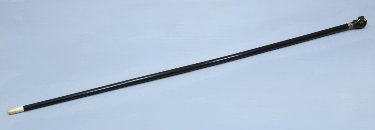 Sailor's Cane With Horn Handle Representing A Walrus Head (19th Century)-photo-3