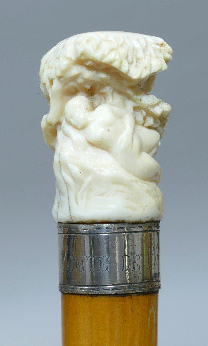 Collectible Cane With Ivory Handle Mentioning Count De Fayolle-photo-2