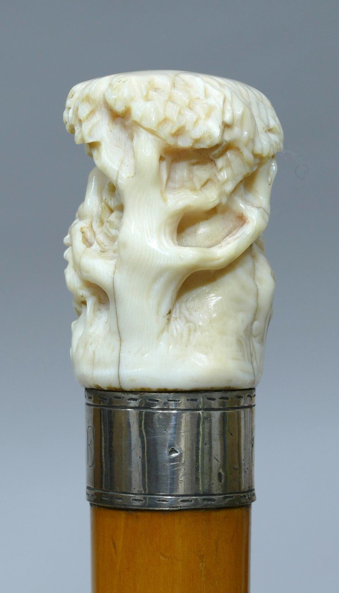 Collectible Cane With Ivory Handle Mentioning Count De Fayolle-photo-3