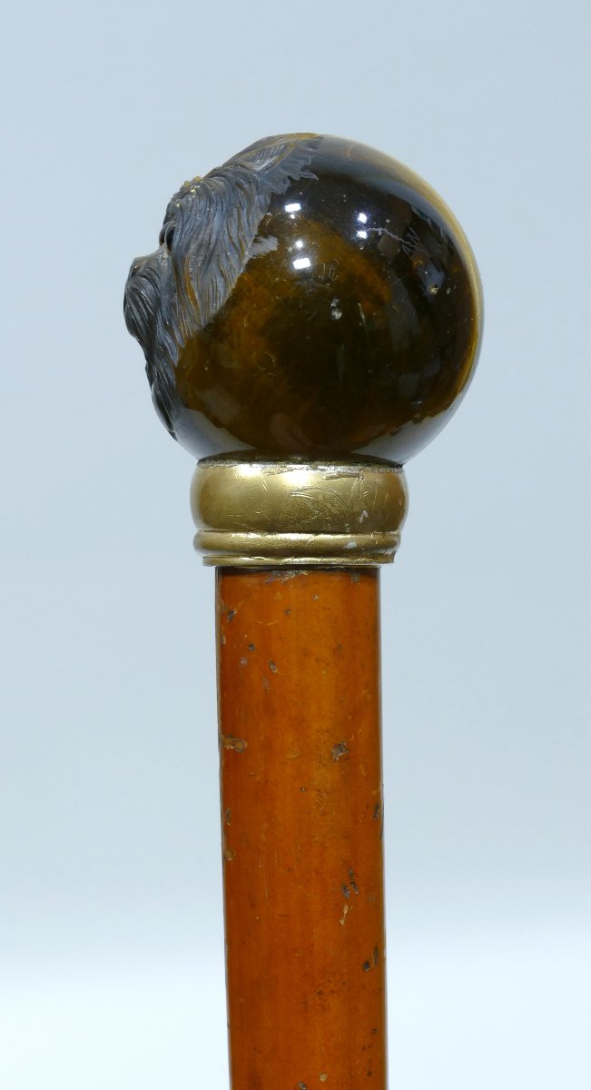 Canne De Collection Du 19ème Siècle Avec Pommeau En Oeil De Tigre Sculpté-photo-3