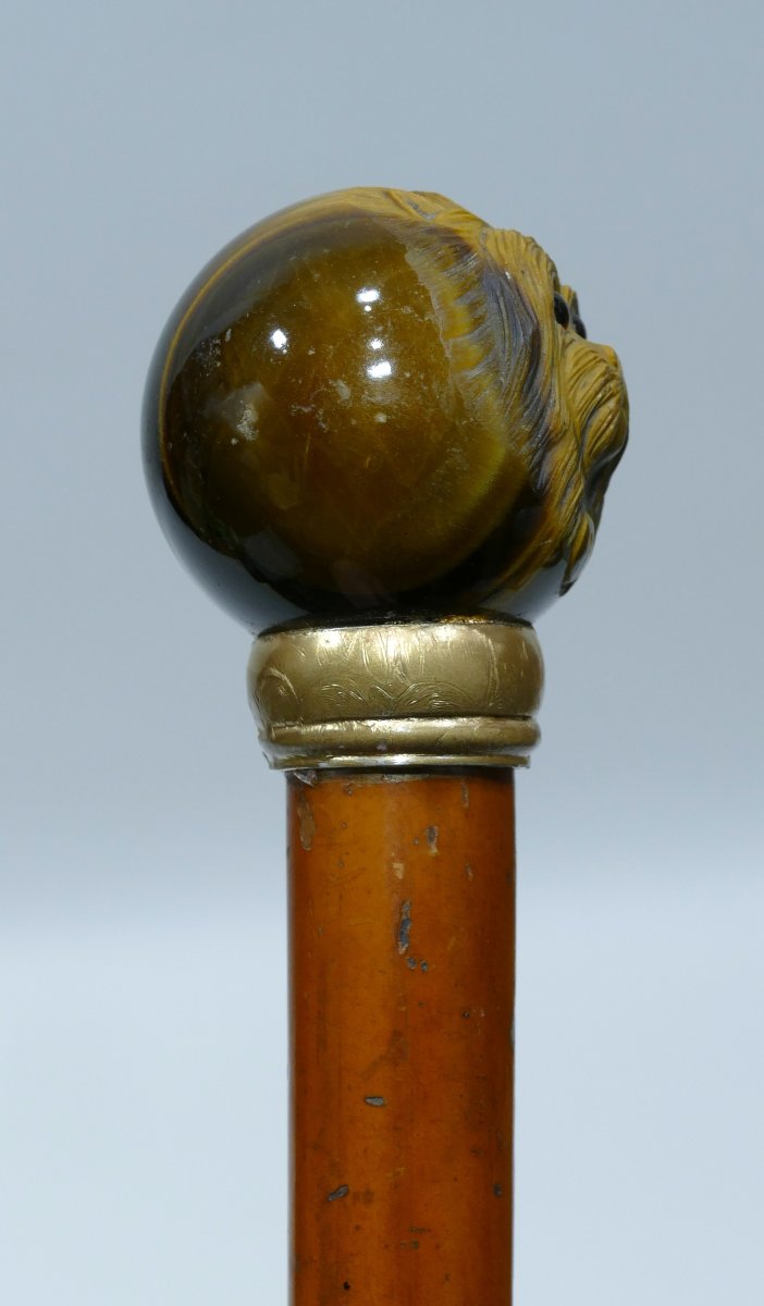 Canne De Collection Du 19ème Siècle Avec Pommeau En Oeil De Tigre Sculpté-photo-1