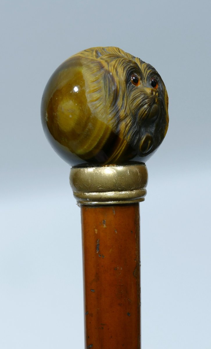 Canne De Collection Du 19ème Siècle Avec Pommeau En Oeil De Tigre Sculpté-photo-2