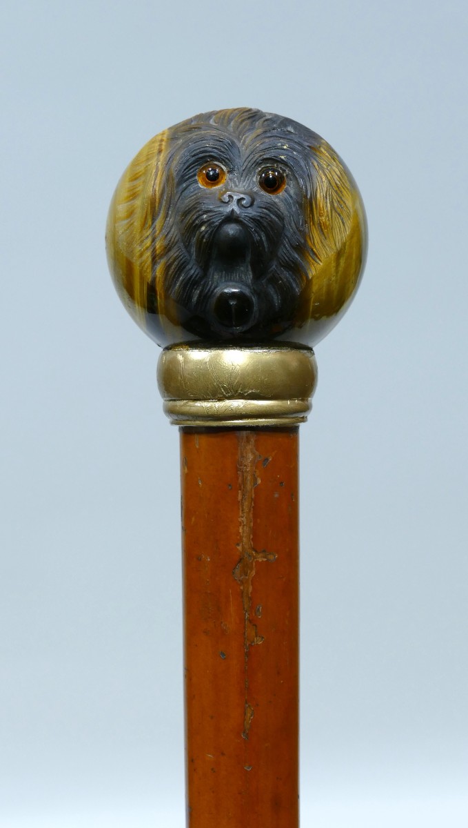 Canne De Collection Du 19ème Siècle Avec Pommeau En Oeil De Tigre Sculpté