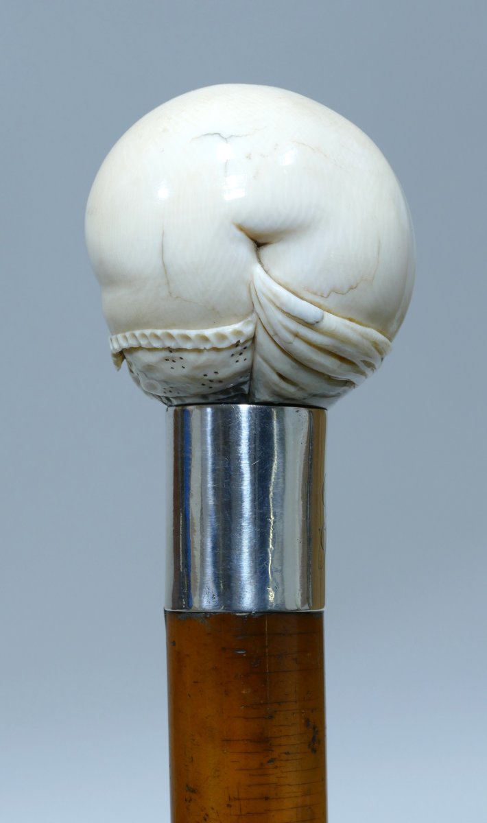Erotic Cane With Handle Representing The Female Sex-photo-2