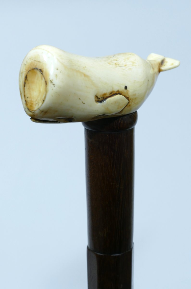 19th Century Sailor's Cane With Sperm Whale Handle-photo-3