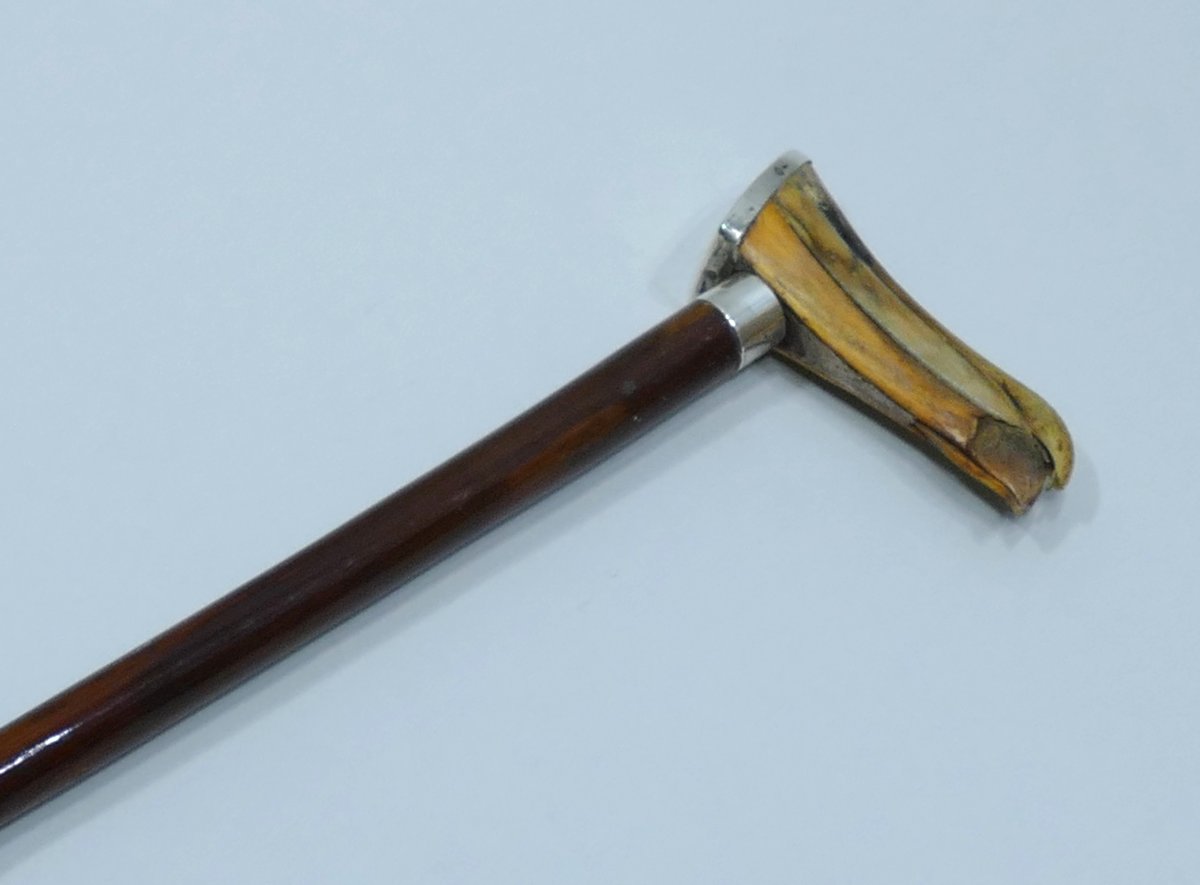 19th Century Sailor's Cane With Albatross Beak Handle-photo-4