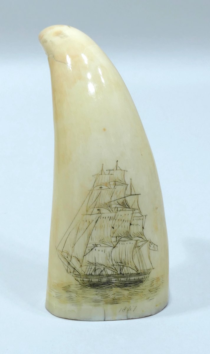 Pair Of Engraved Biface Sperm Whale Teeth Dated To Circa 1847-photo-3
