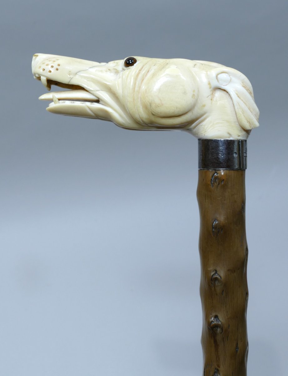 Collectible Cane With Ivory Handle Representing A Greyhound-photo-2