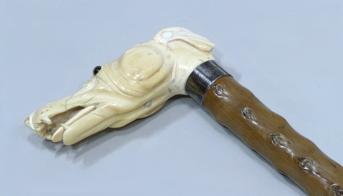 Collectible Cane With Ivory Handle Representing A Greyhound-photo-4