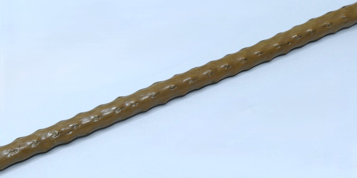 Collectible Cane With Ivory Handle Representing A Greyhound-photo-2